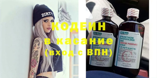 прущие грибы Богданович