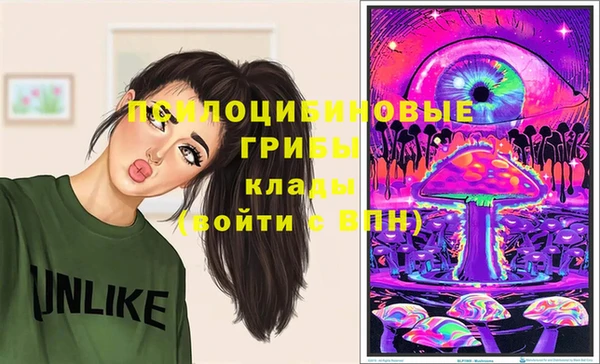 прущие грибы Богданович