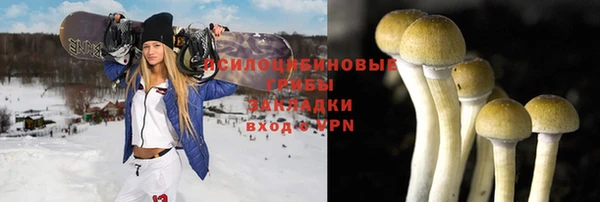 прущая мука Богородск