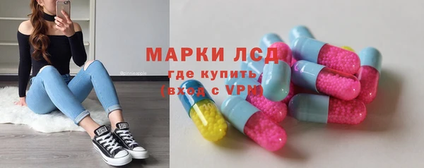 прущие грибы Богданович