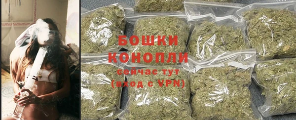 прущие грибы Богданович