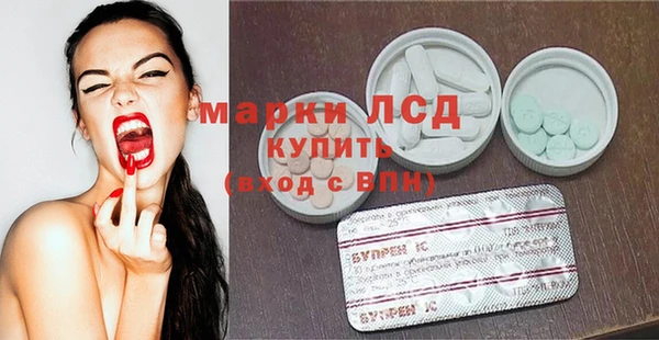 прущие грибы Богданович