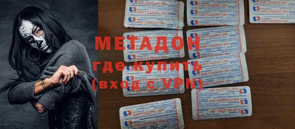 прущие грибы Богданович