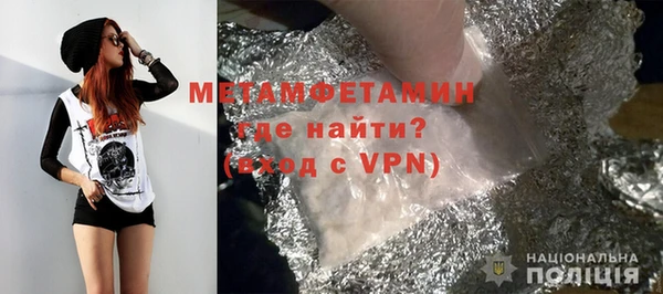 прущие грибы Богданович