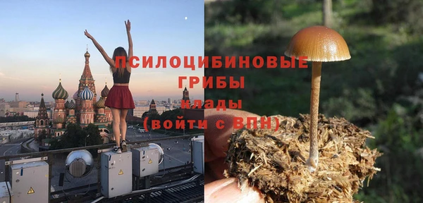 марки nbome Богородицк