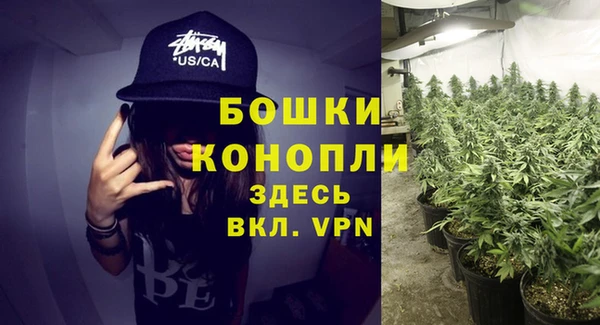 прущая мука Богородск