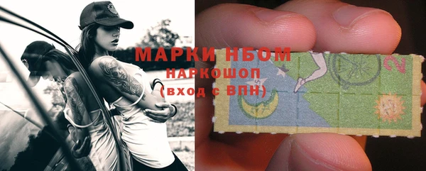 прущие грибы Богданович