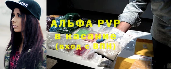 прущие грибы Богданович