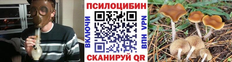 Галлюциногенные грибы мицелий Гаврилов-Ям